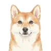 初然忆